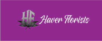 haven